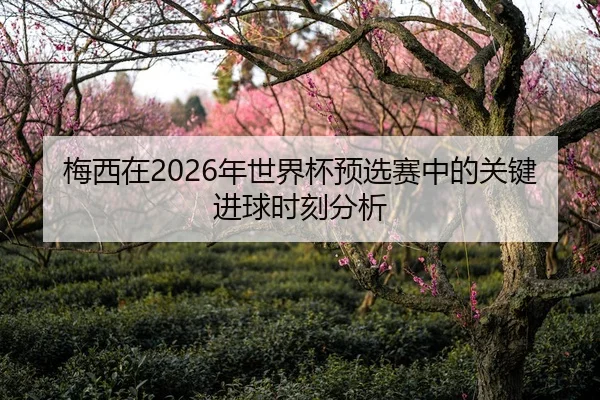 梅西在2026年世界杯预选赛中的关键进球时刻分析