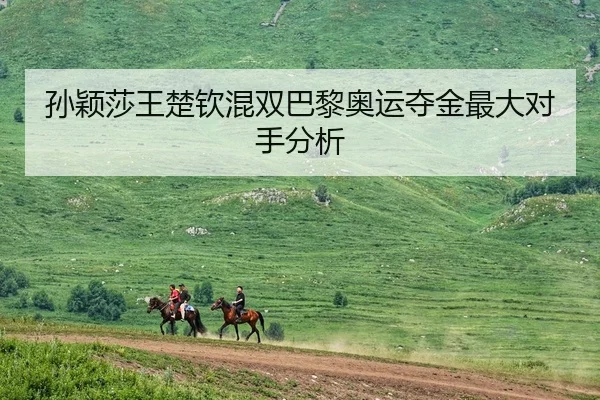 孙颖莎王楚钦混双巴黎奥运夺金最大对手分析