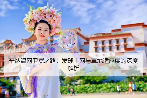 xin-na-wen-wang-wei-mian-zhi-lu-fa-qiu-shang-wang-yu-cao-di-shi-ying-du-de-shen-du-jie-xi-2-969.jpg