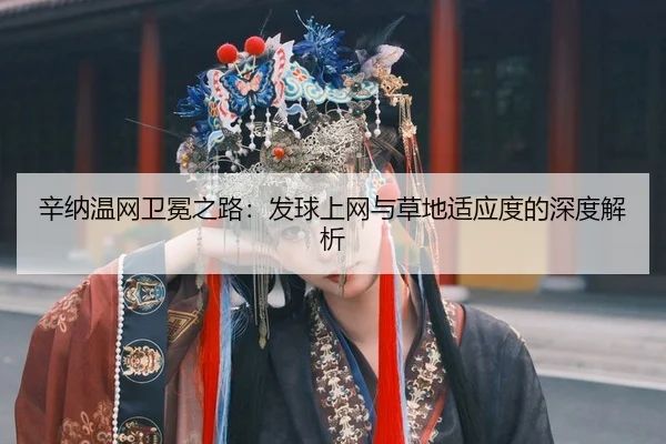 xin-na-wen-wang-wei-mian-zhi-lu-fa-qiu-shang-wang-yu-cao-di-shi-ying-du-de-shen-du-jie-xi-3-791.jpg
