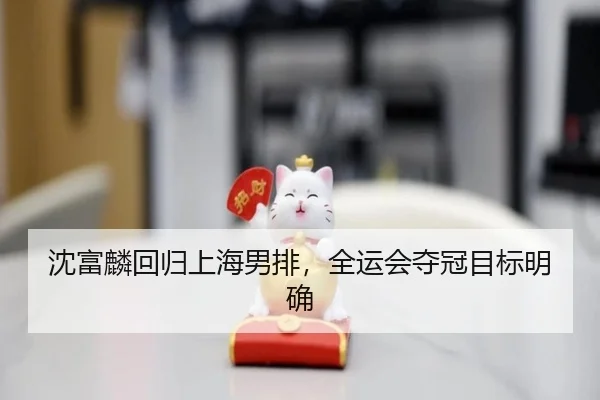 沈富麟回归上海男排，全运会夺冠目标明确