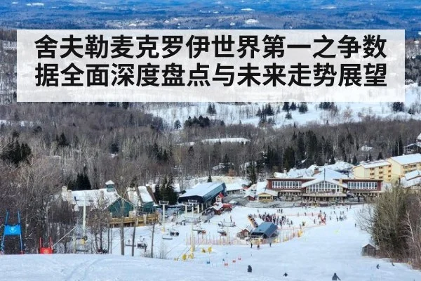 舍夫勒麦克罗伊世界第一之争数据全面深度盘点与未来走势展望